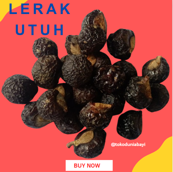Lerak Biji Asli Premium – Sabun Alami Multifungsi untuk Batik, Baju Bayi, Clodi, Menspad dan Berbagai Kebutuhan Rumah Tangga - Image 4